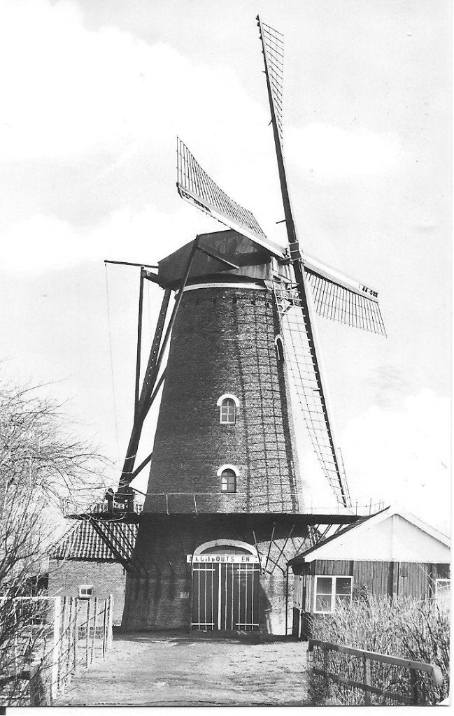 Hooge Zwaluwe - Korenmolen "Zeldenrust" - Ansichtkaart, Ophalen of Verzenden, 1960 tot 1980, Ongelopen, Noord-Brabant