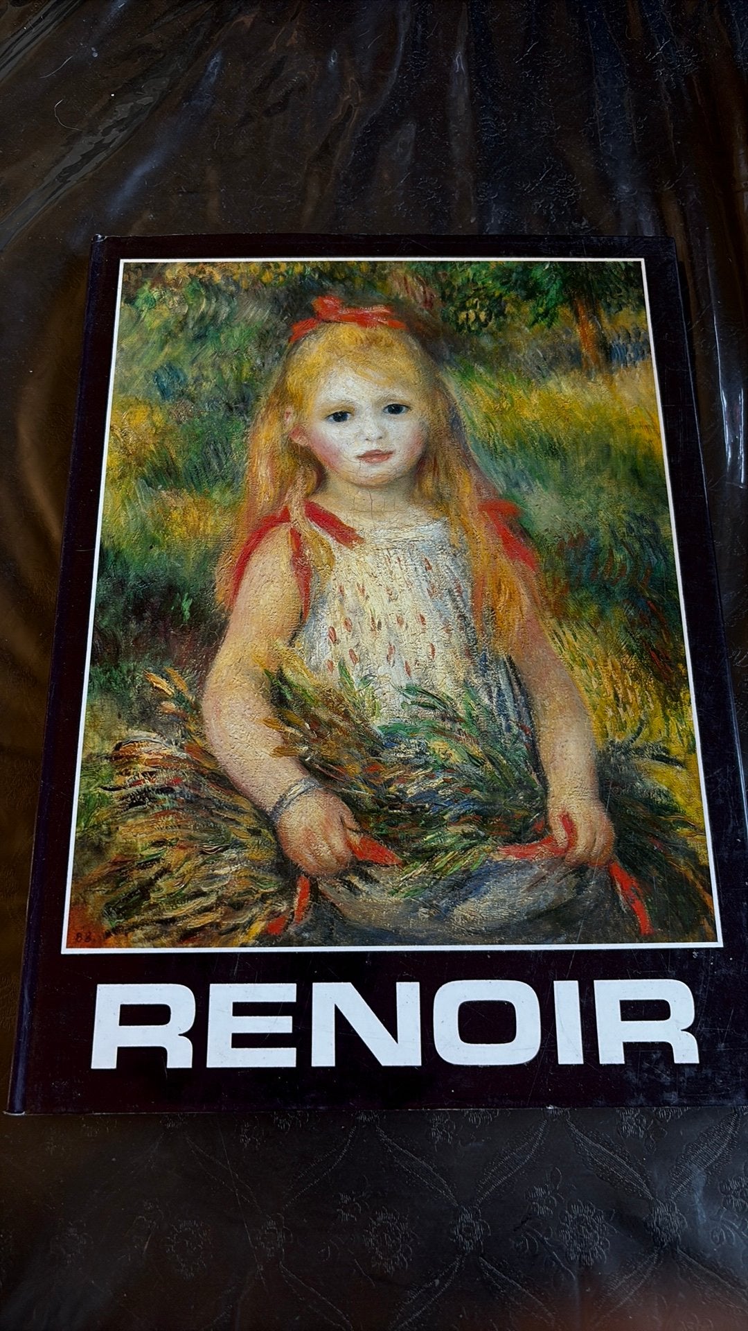 August Renoir, Boeken, Ophalen of Verzenden, Gelezen