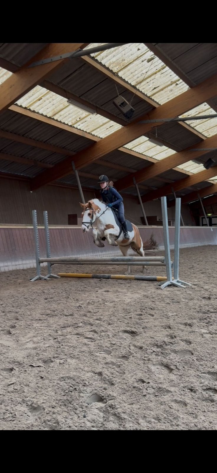Verzorgpony gezocht/ ervaren bijrijder aangeboden, Ophalen of Verzenden, Zo goed als nieuw