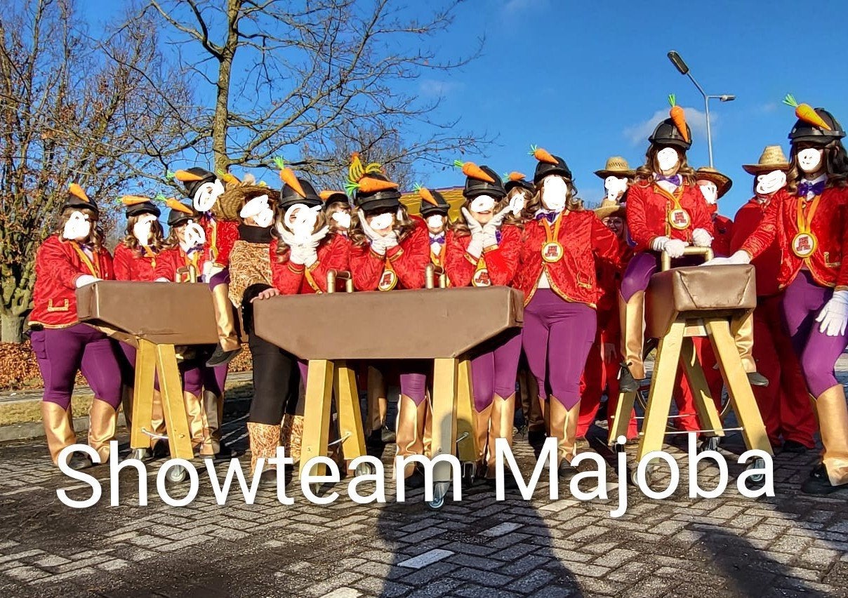 thema paard., Ophalen, Zo goed als nieuw, Maat 38/40 (M), Carnaval