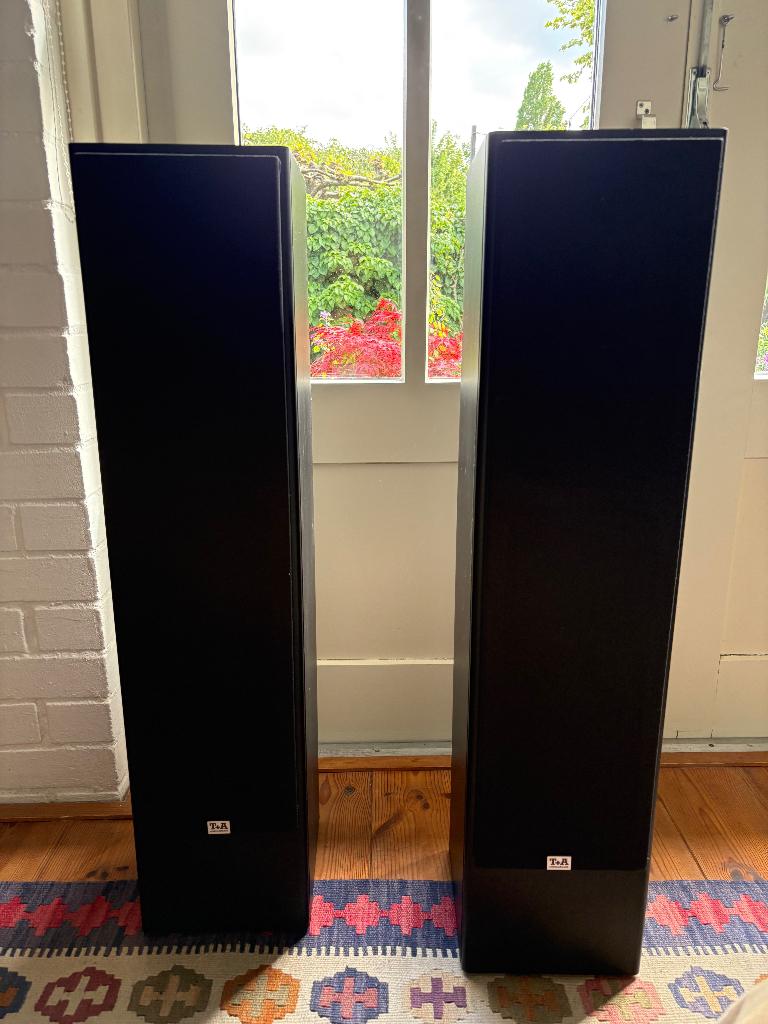 Luidsprekers Triton TS 30, Gebruikt, Overige typen, 120 watt of meer, Ophalen