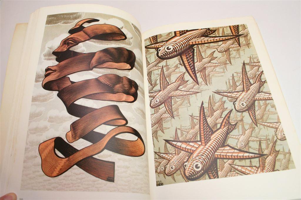 De Werelden van M.C. Escher — Overzicht van zijn Werk, Boeken, Kunst en Cultuur | Beeldend, Ophalen of Verzenden, Gelezen