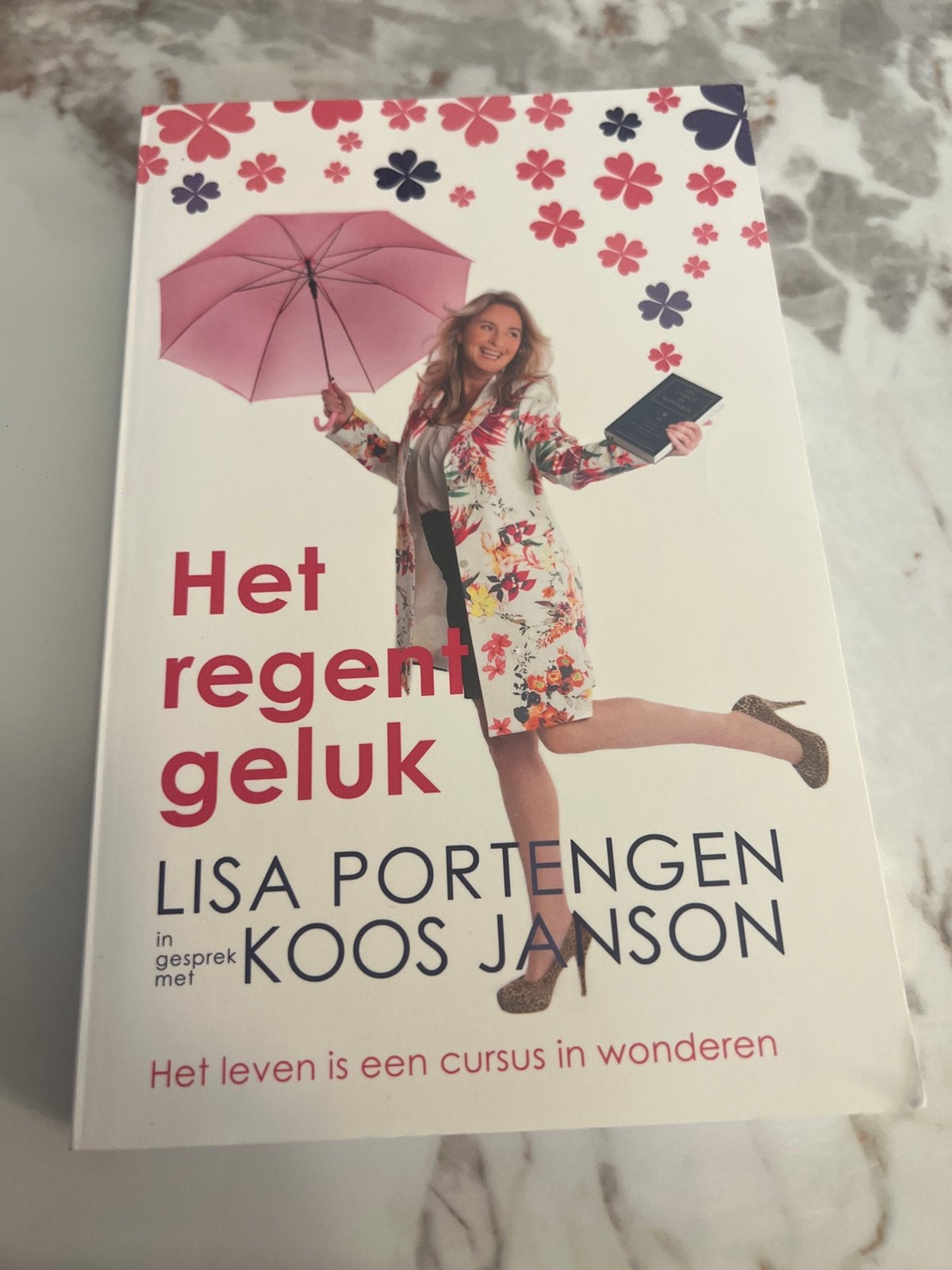Lisa Portengen - Het regent geluk, Gelezen, Achtergrond en Informatie, Ophalen of Verzenden, Overige onderwerpen