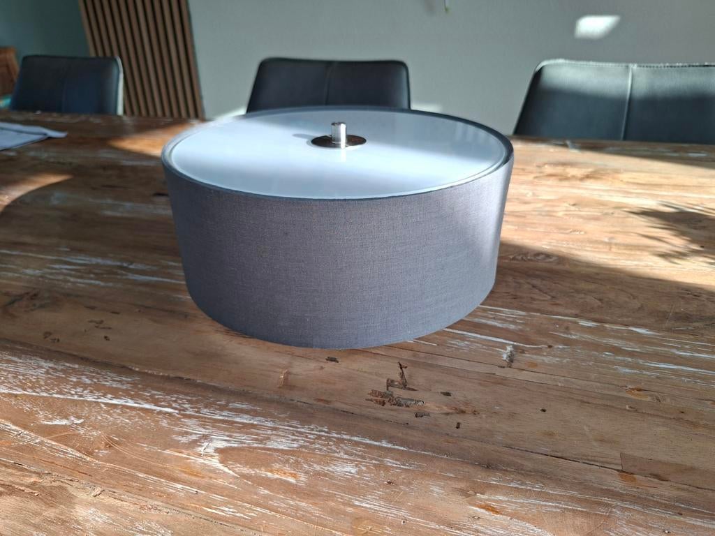 Plafondlamp Elle grijs pland lamp Mooie lamp matglas, Ophalen of Verzenden, Gebruikt, Glas