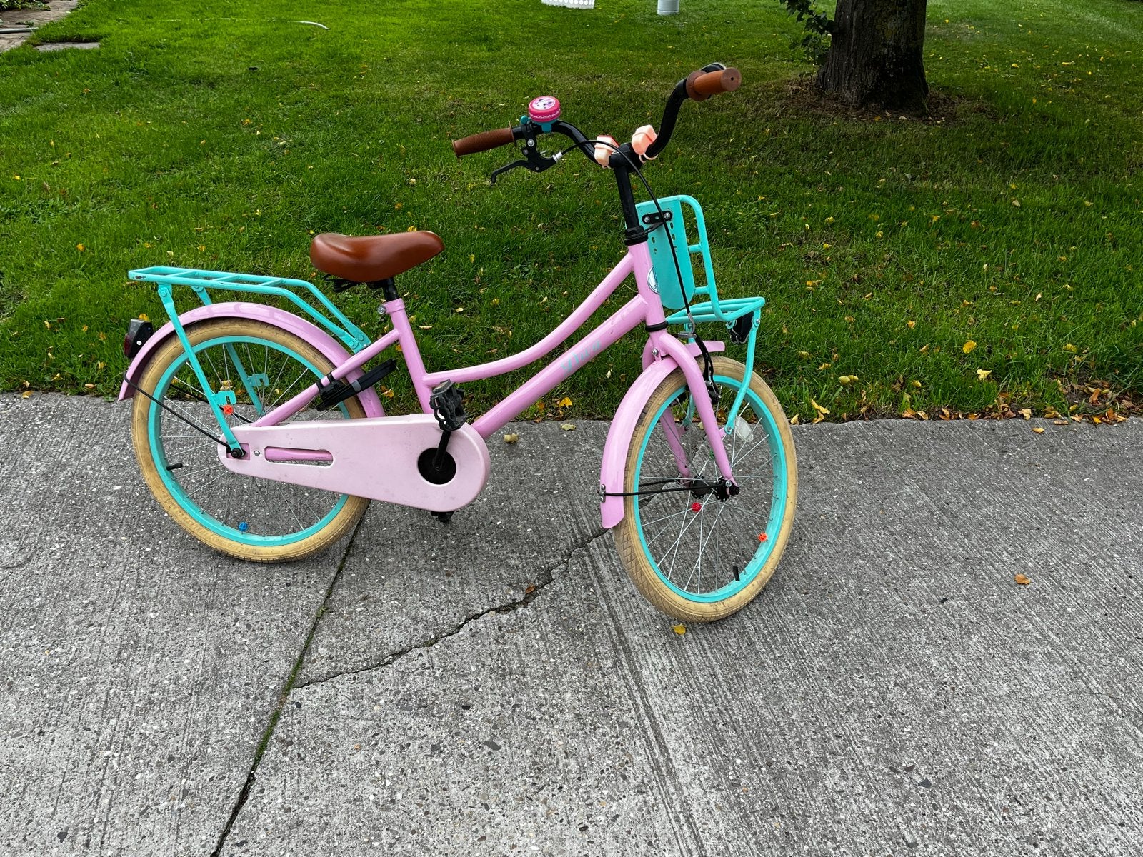 Leuke roze kinderfiets 'Diva' met mandje en bagagedrager, Ophalen, Gebruikt, Velgrem, 16 tot 20 inch