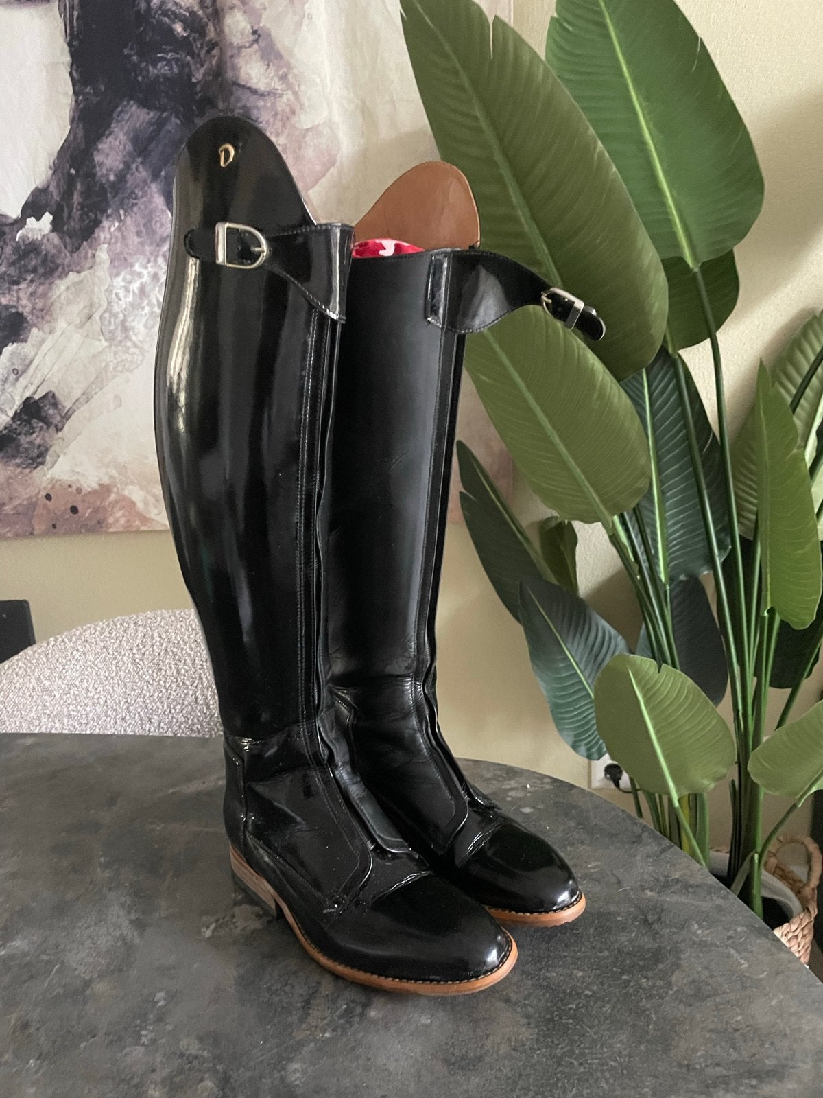Te koop mooie lak Derby laarzen maat 38 hoogte 52 kuit 37, Ophalen of Verzenden, Dressuur