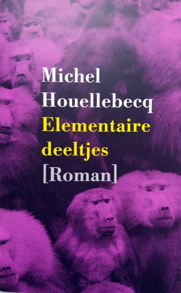Michel Houellebecq - Elementaire deeltjes (Ex.2), Ophalen of Verzenden, Gelezen, Europa overig