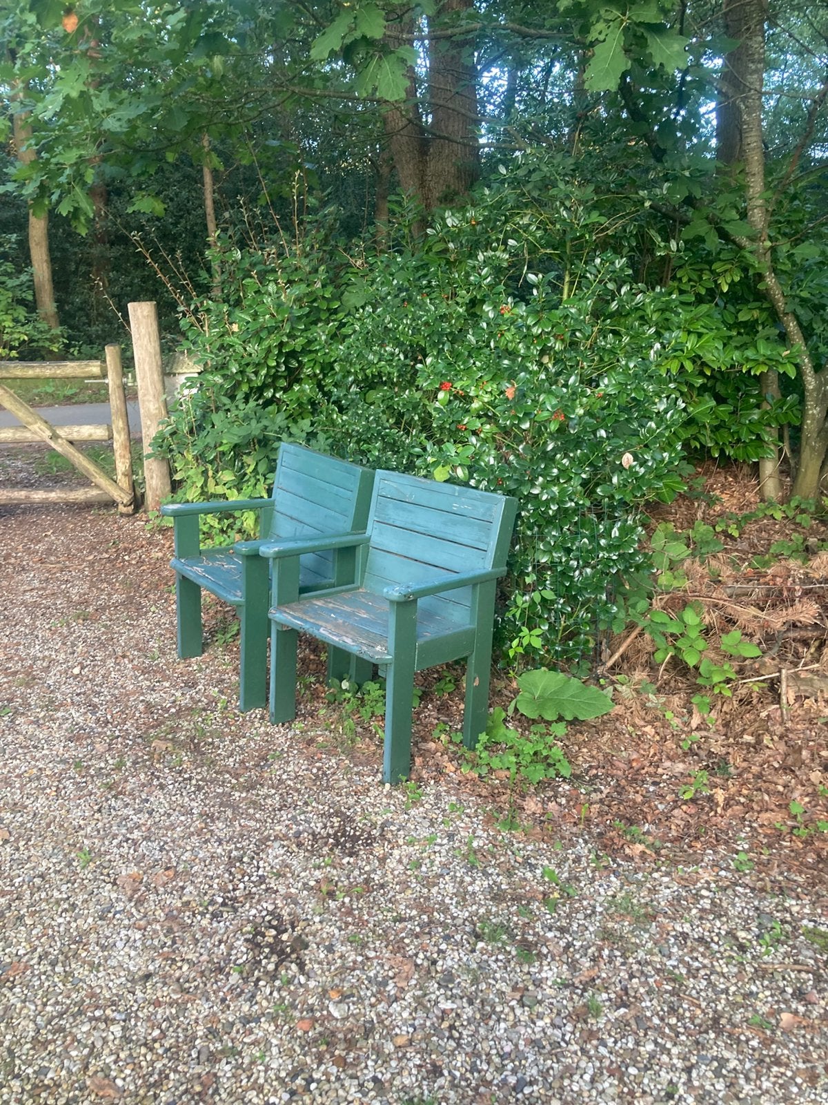 Tuinstoelen, gratis, Ophalen of Verzenden, Gebruikt, Hout