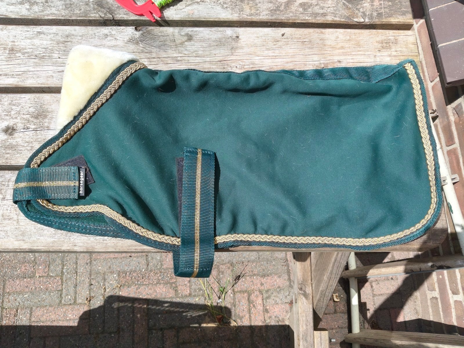 Nieuw hondenjasje, maat 60 cm, Dieren en Toebehoren, Ophalen of Verzenden, Nieuw