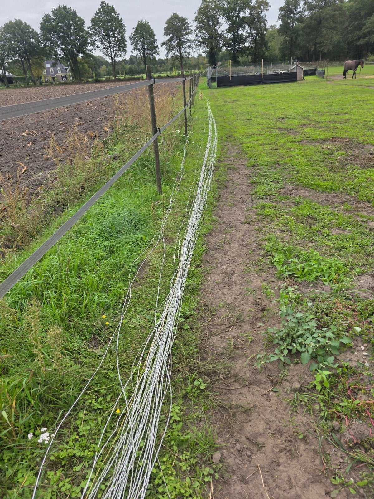 1200 mtr schrikdraad, Dieren en Toebehoren, Ophalen of Verzenden, Gebruikt