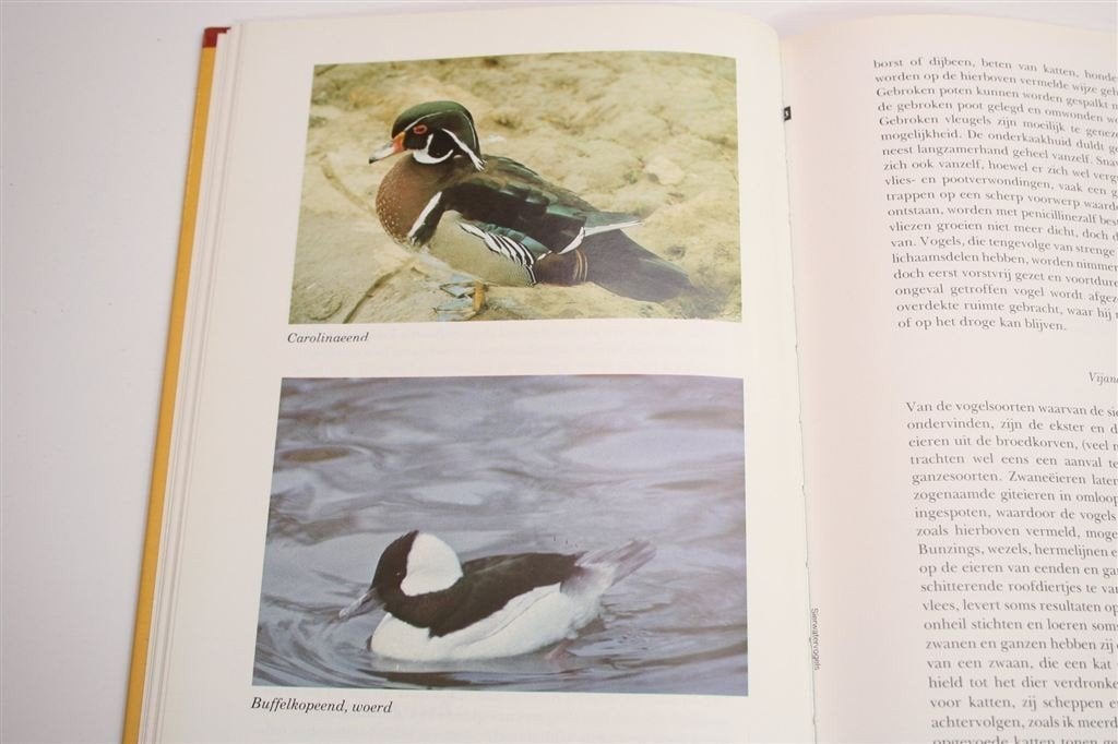 Sierwatervogels — Gids voor Liefhebbers [Met Kleurfoto\'s], Boeken, Ophalen of Verzenden, Zo goed als nieuw, Vogels