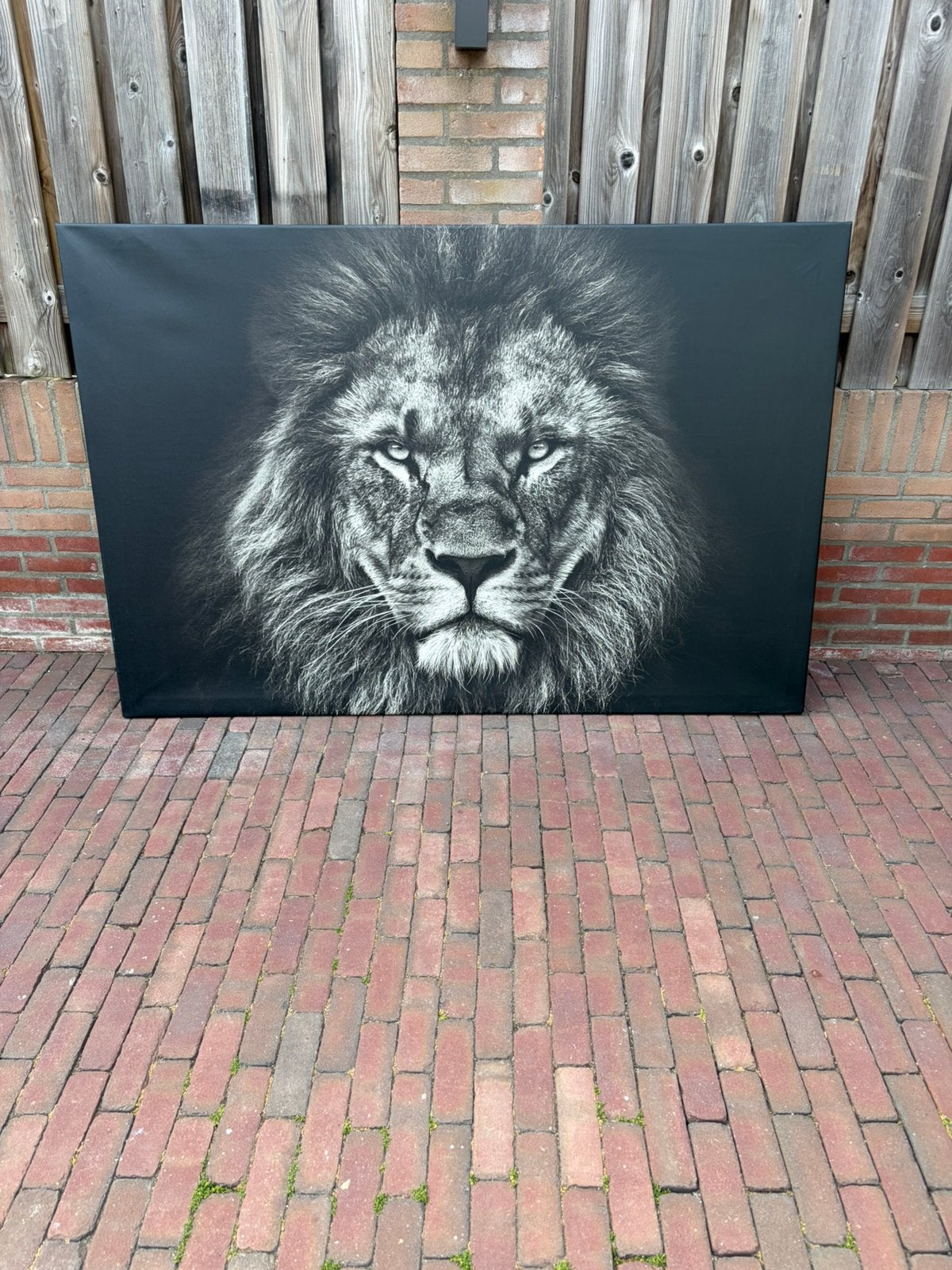 Schilderij, Ophalen, Zo goed als nieuw, 125 cm of meer, Schilderij