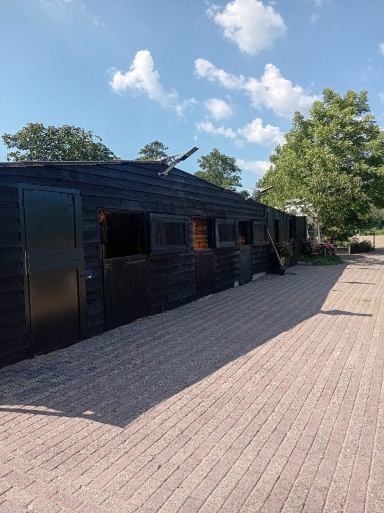Stal te huur, Dieren en Toebehoren, Weidegang