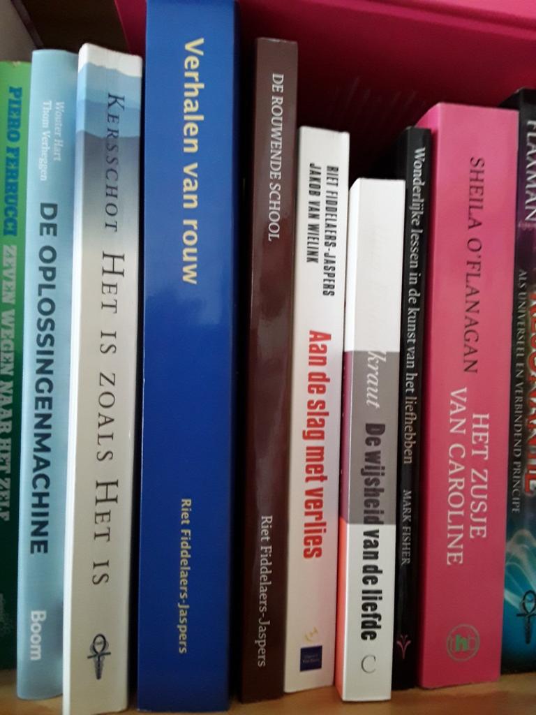 Riet Fiddelaers-Jaspers diverse titels, Boeken, Ophalen of Verzenden