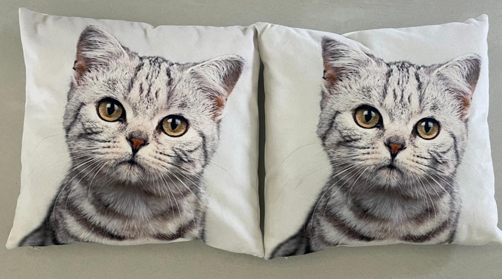 Kussen kinderkamer poes, Ophalen of Verzenden, Gebruikt, Kleed of Kussen