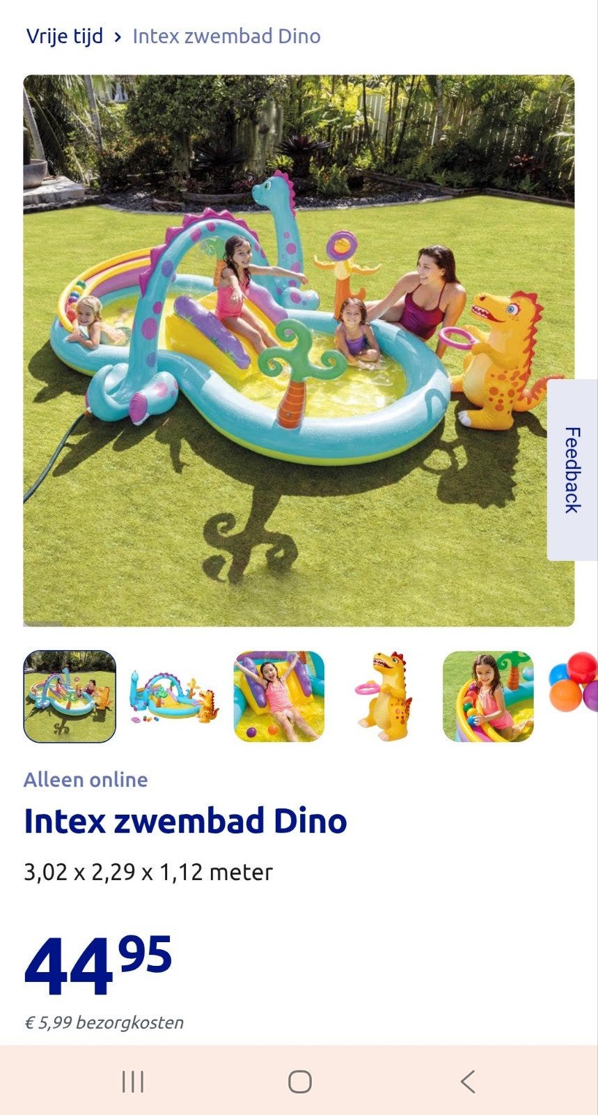 Intex Zwembad Dino Speelcentrum - 3,02 x 2,29 x 1,12 m, Ophalen, Gebruikt, 200 tot 300 cm, Opblaaszwembad