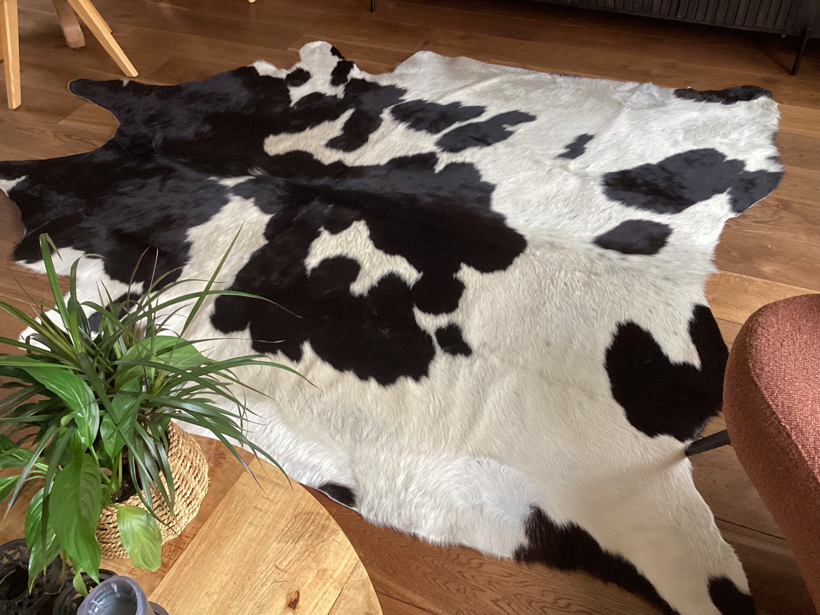 Koeienhuid xxl, Gebruikt, Wit, 200 cm of meer, Ophalen of Verzenden