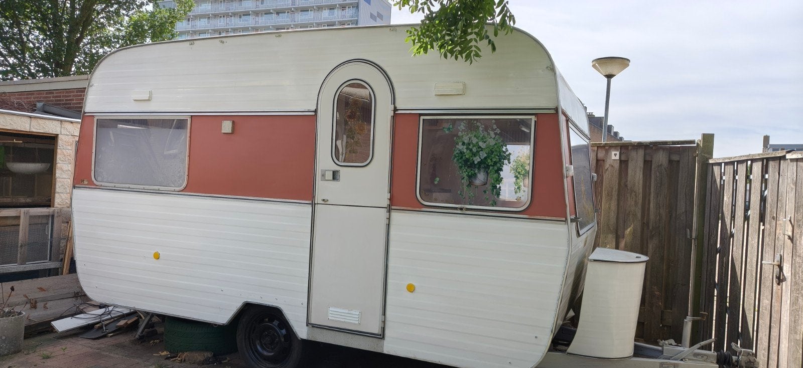 Kip 415 uit 1972 - Gedeeltelijk gerenoveerd, Particulier, Gascomfoor, Kip