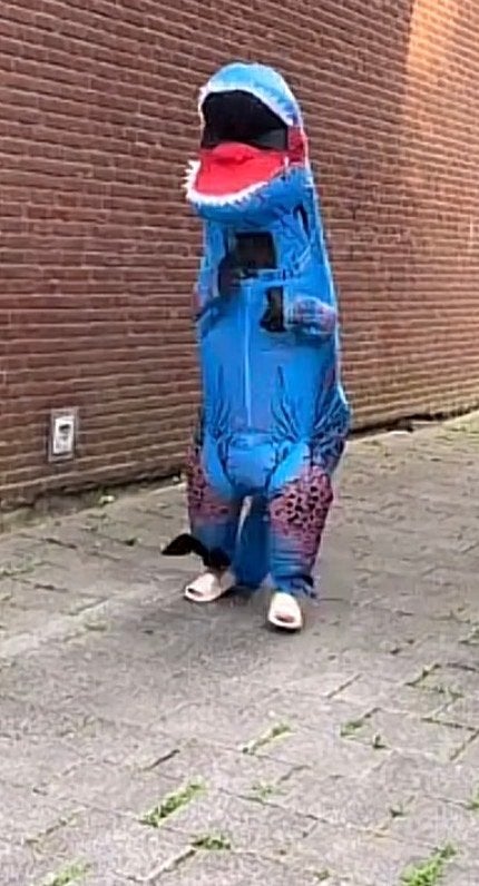 Opblaasbaar Dinosaurus Kostuum - T-Rex Blauw, Ophalen of Verzenden, Gebruikt, Pak of Jurk