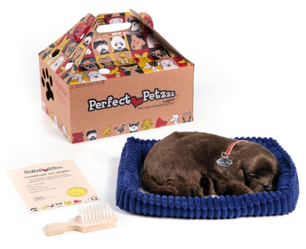 Perfect petzzz soft labrador chocolate - knuffeldier, Overige merken, Perfect Petzzz, Perfect Petzzz, Nieuw