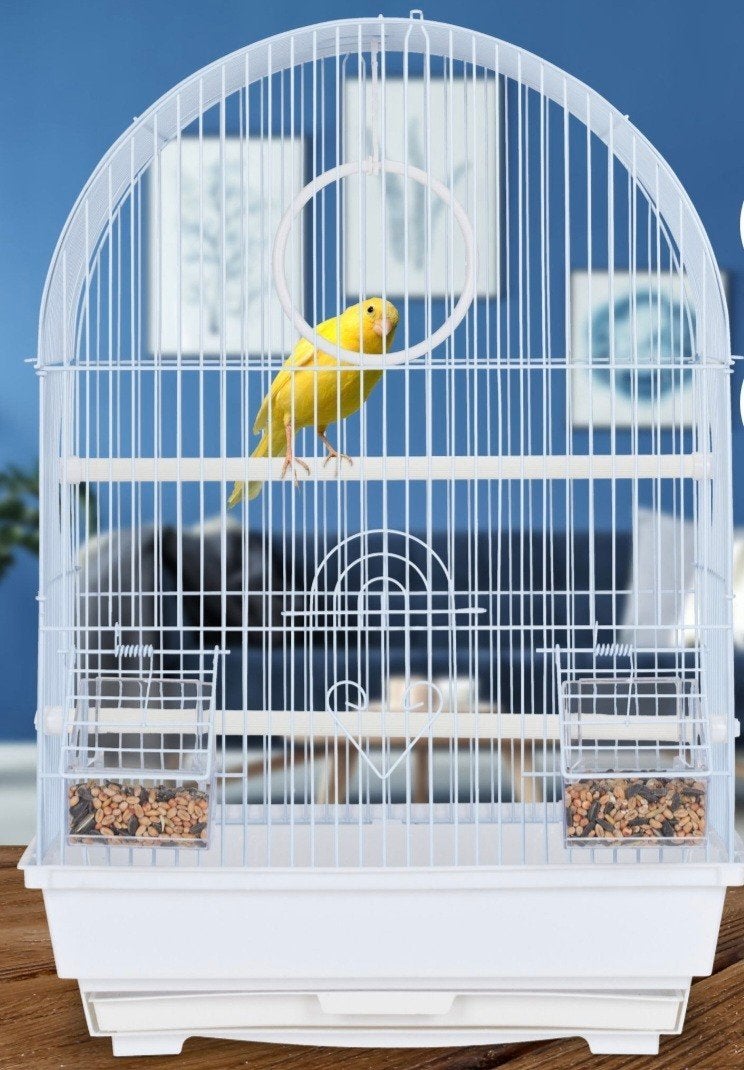 leuke nieuwe vogelkooi, Ophalen, Nieuw, Metaal, Vogelkooi