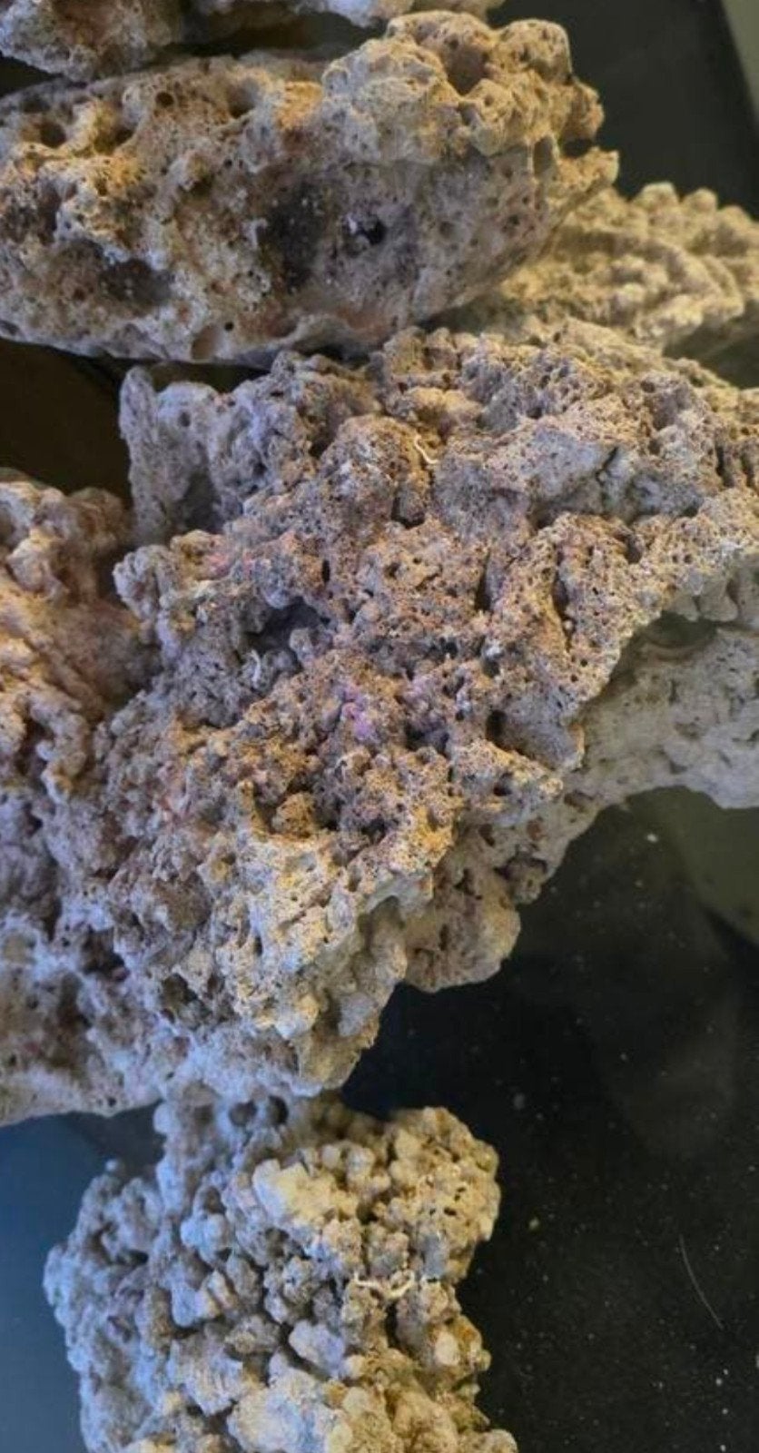 Rifsteen voor het aquarium, Ophalen of Verzenden, Plant(en), Steen of Hout