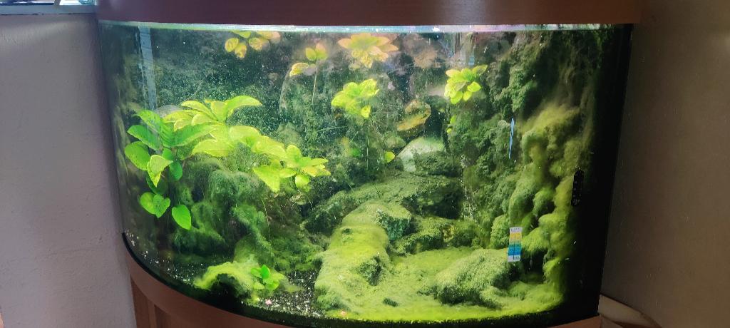 Juwel Trigion 190 hoek aquarium los filter compleet, Dieren en Toebehoren, Ophalen, Gebruikt, Leeg aquarium, Juwel