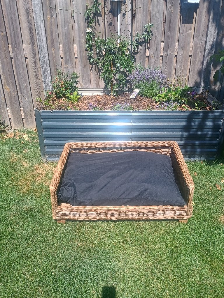 Te koop grote rieten hondenmand, Ophalen, Gebruikt, Riet