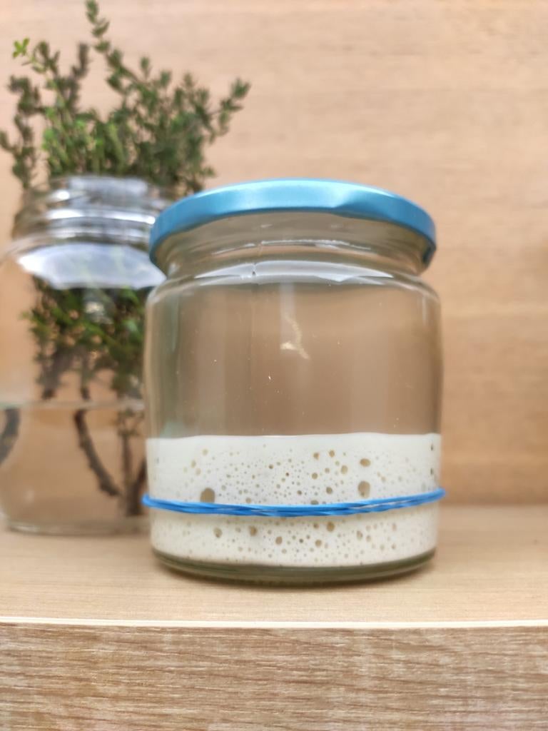 Sourdough starter, Ophalen
