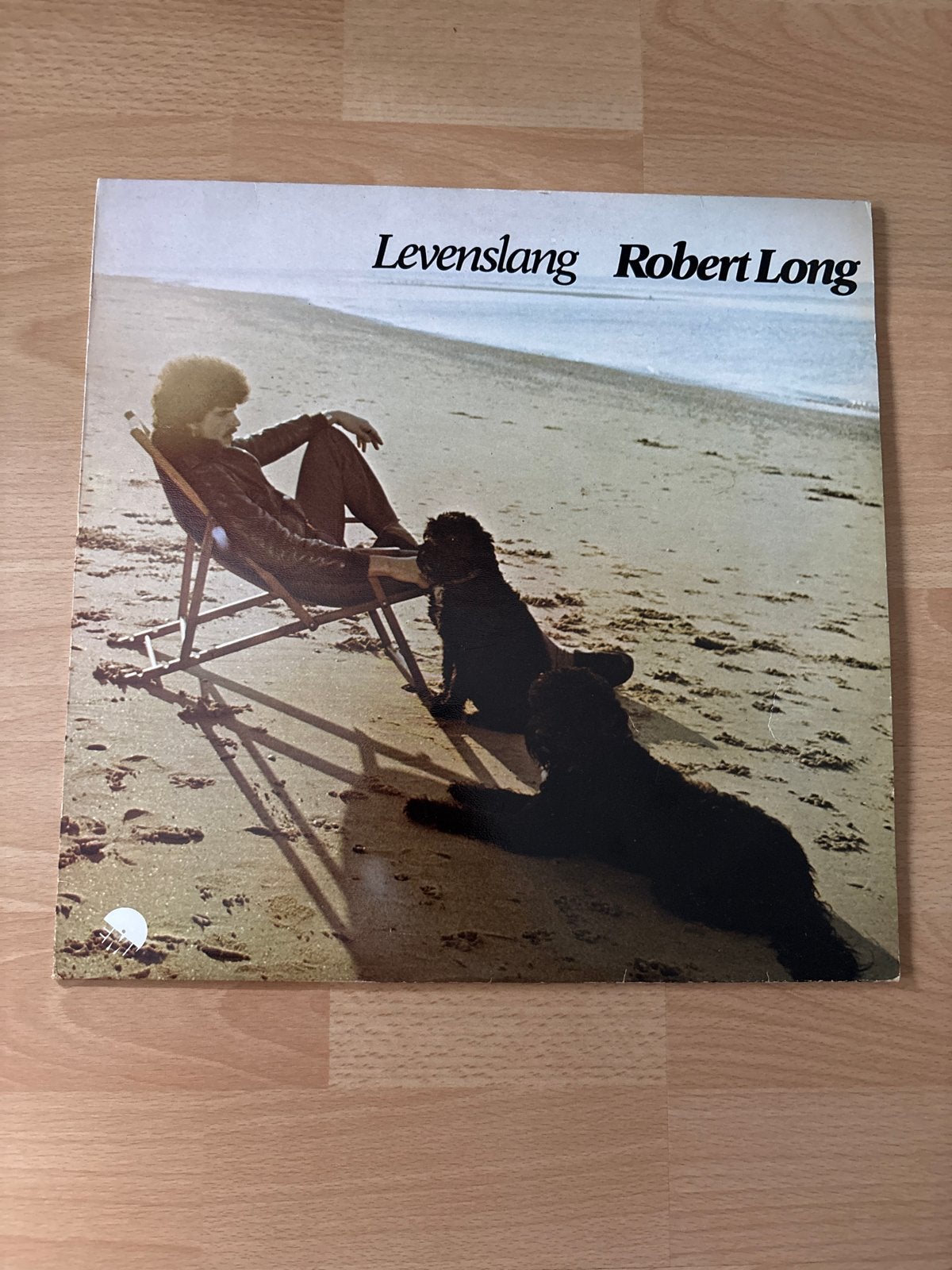 Robert Long – Levenslang (LP) - Originele Nederlandstalige, Cd's en Dvd's, LP, Gebruikt, Originele persing, Cabaret of Kleinkunst