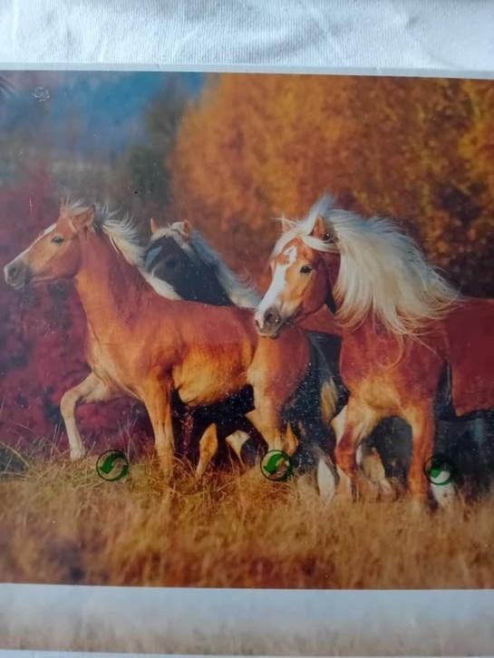 Puzzel paarden nieuw 3000 stukjes, Ophalen of Verzenden, Meer dan 1500 stukjes, Nieuw
