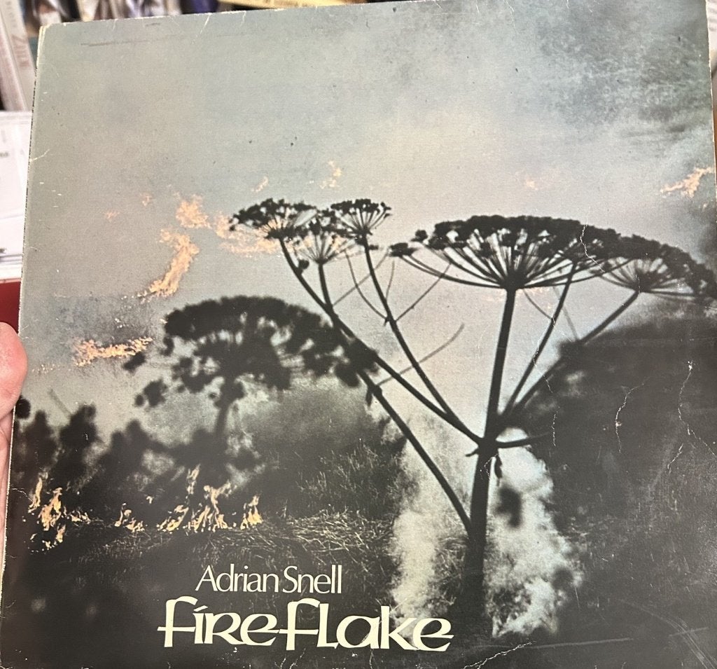 Adrian Snell: FireFlake (lp), Cd's en Dvd's, Ophalen of Verzenden, Gebruikt, 12 inch, Progressive Rock