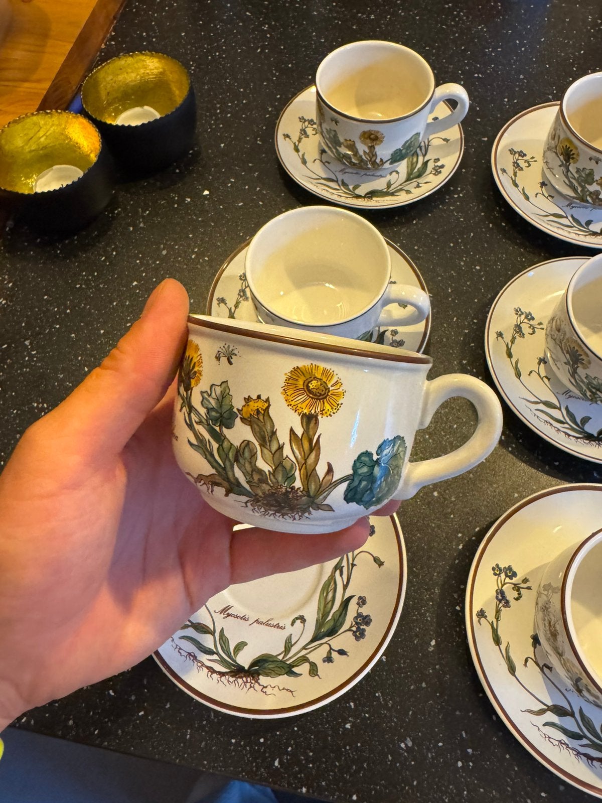 Villeroy & Boch Botanica theekoppen en schotels (set van 6), Gebruikt, Villeroy & Boch, Ophalen of Verzenden, Overige stijlen