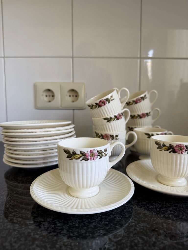 Wedgwood Briar Rose Mokka Kopjes - Set van 12, Ophalen