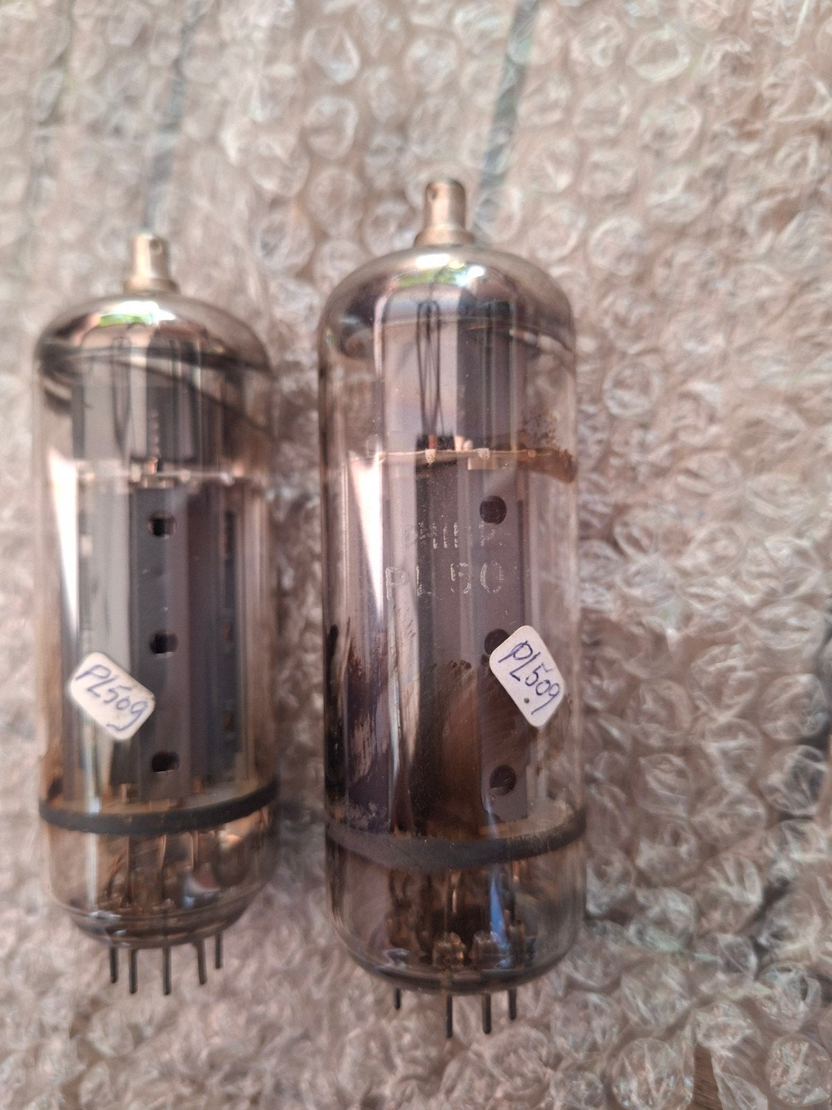 PHILIPS PL509 VACUÜMBUIS, Ophalen of Verzenden, Buis of Buizen