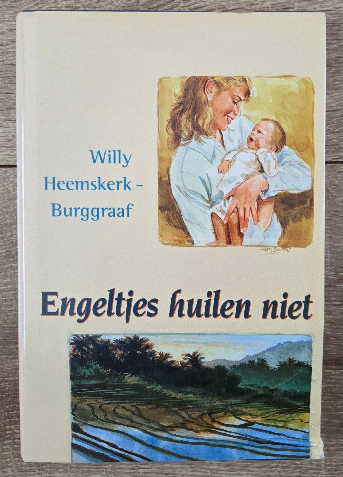 Willy Heemskerk-Burggraaf - Engeltjes huilen niet, Gelezen, Noord-Brabant, Ophalen of Verzenden, W. Heemskerk-Burggraaf