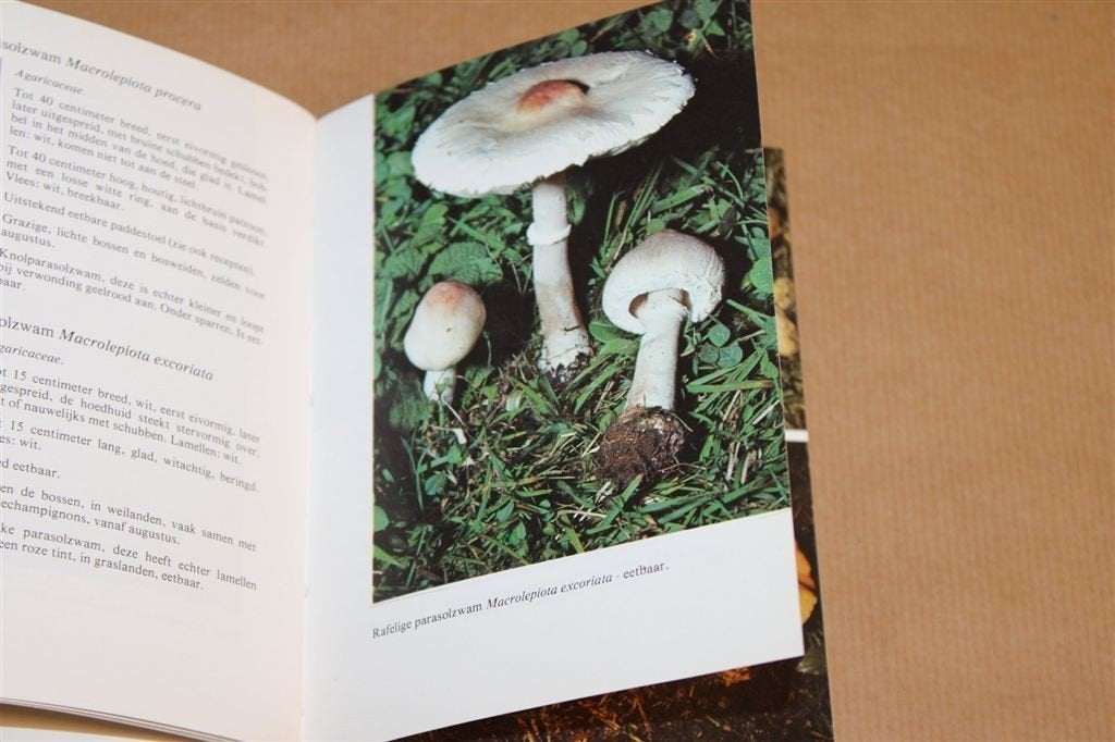 Paddestoelen — Natuurgids, 1979, Ophalen of Verzenden, Gelezen, Bloemen, Planten en Bomen