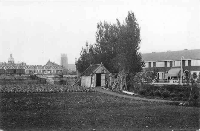 301-116-031 Dordrecht Watermolenwei Marnixstraat, Verzenden, Voor 1920, Zuid-Holland