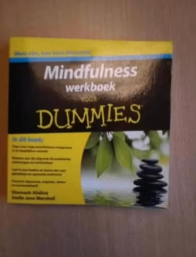 Joelle Jane Marshall - Mindfulness werkboek voor Dummies, Boeken, Ophalen of Verzenden, Zo goed als nieuw