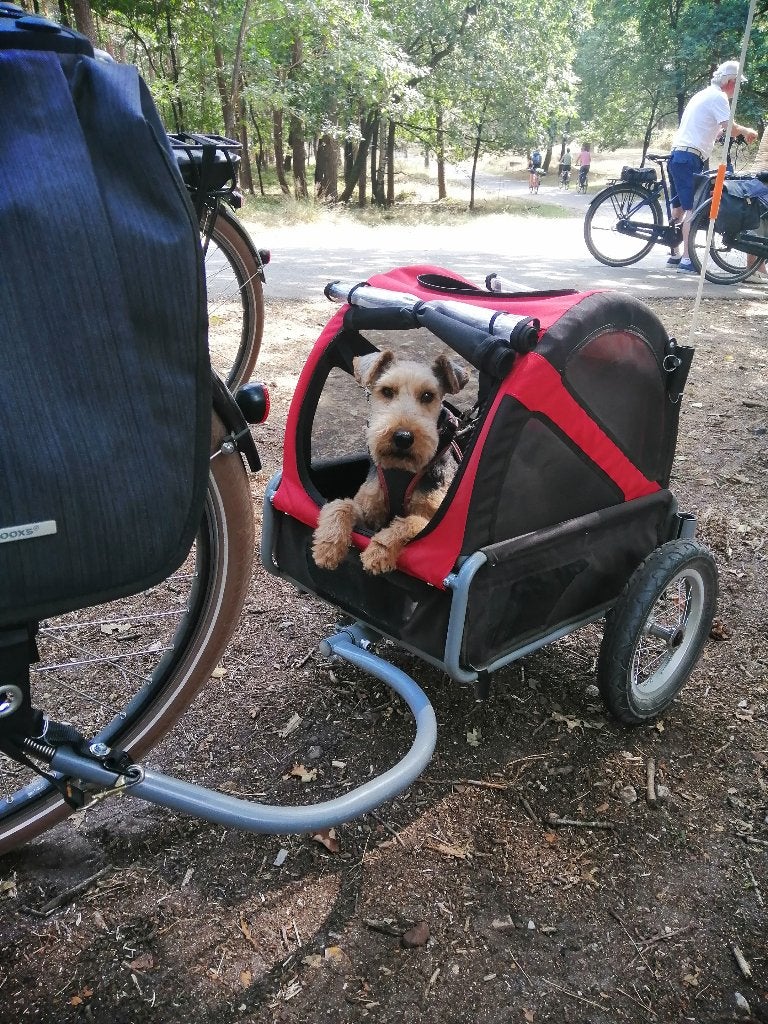 Dutchdog Doggyride, Fietsen en Brommers, Fietsaccessoires | Aanhangers en Karren, Ophalen, Opvouwbaar, 20 tot 40 kg, Zo goed als nieuw