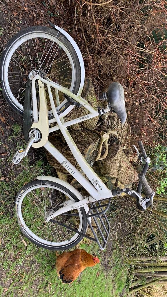 Damesfiets Puch Crunch, Ophalen, Zo goed als nieuw, Staal