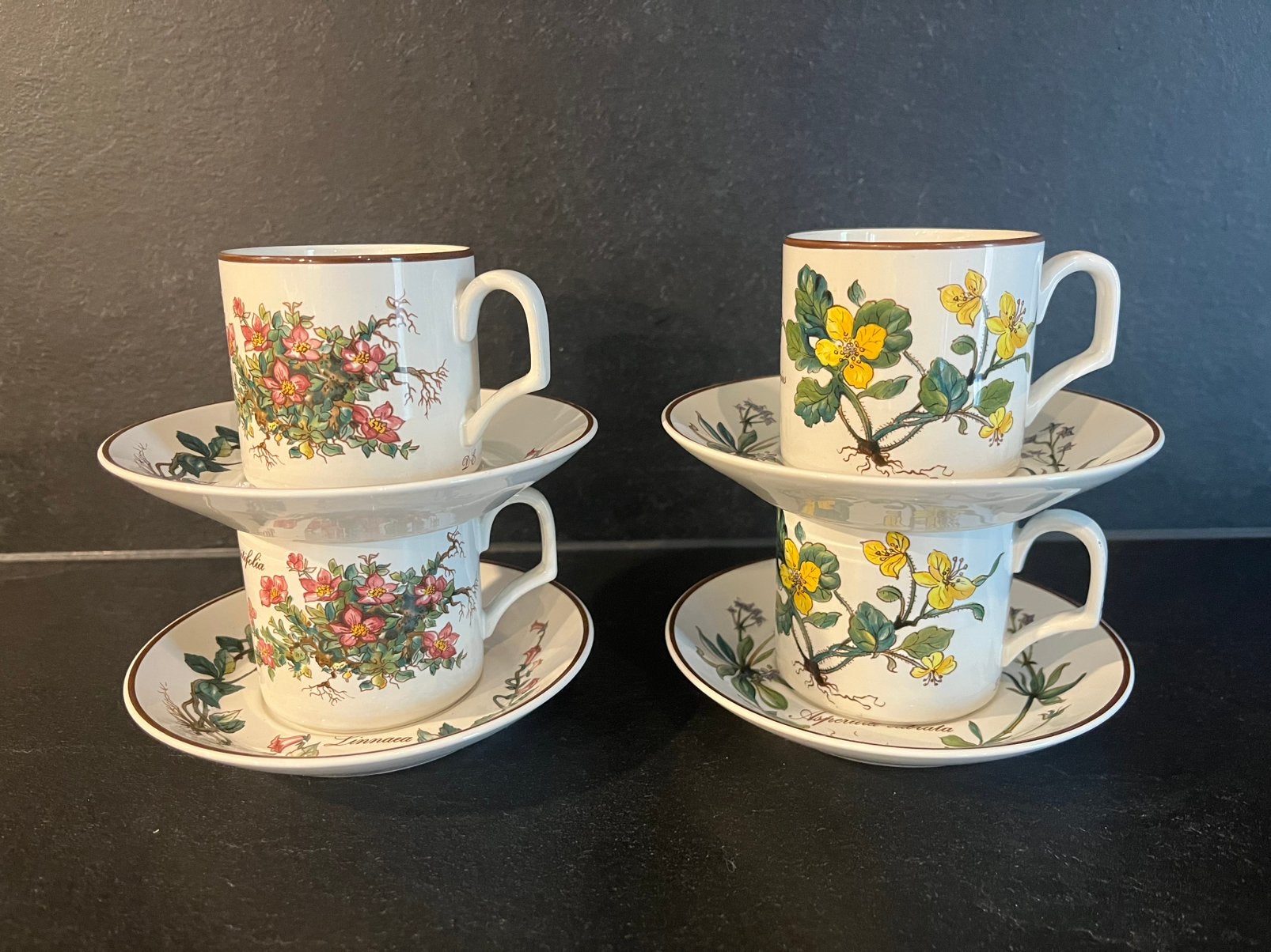 Villeroy & Boch Botanica kop en schotels (4), Ophalen of Verzenden