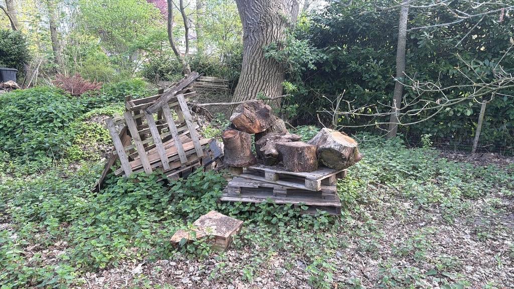 Openhaardhout gratis ophalen, Minder dan 3 m³, Ophalen of Verzenden