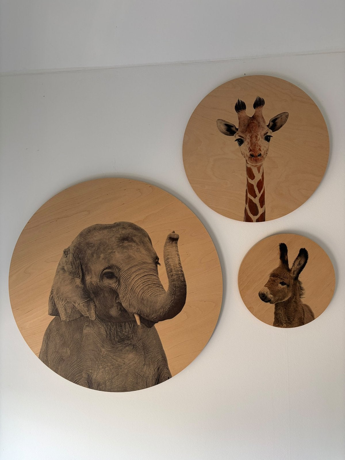 Wanddecoratie kinderkamer, Ophalen, Gebruikt, Hout, Wandcirkel