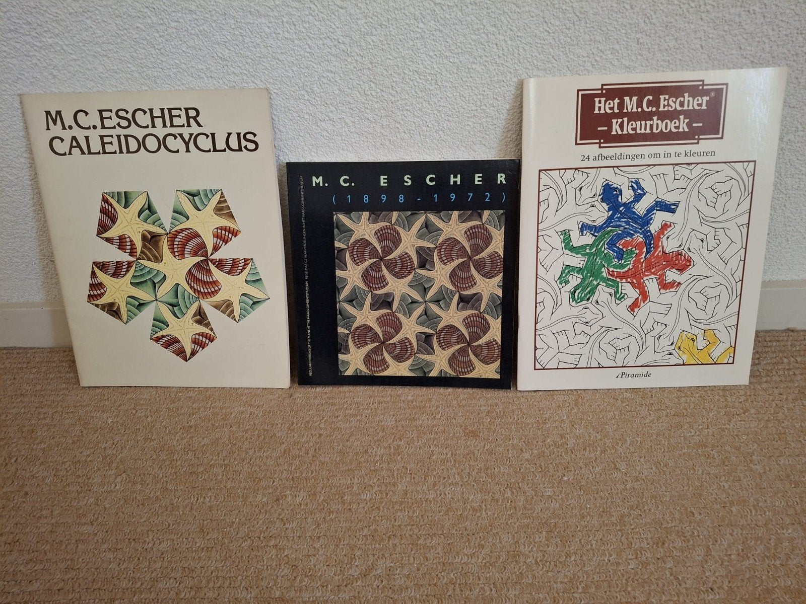 Boeken van Escher, Ophalen of Verzenden, Gelezen, Schilder- en Tekenkunst
