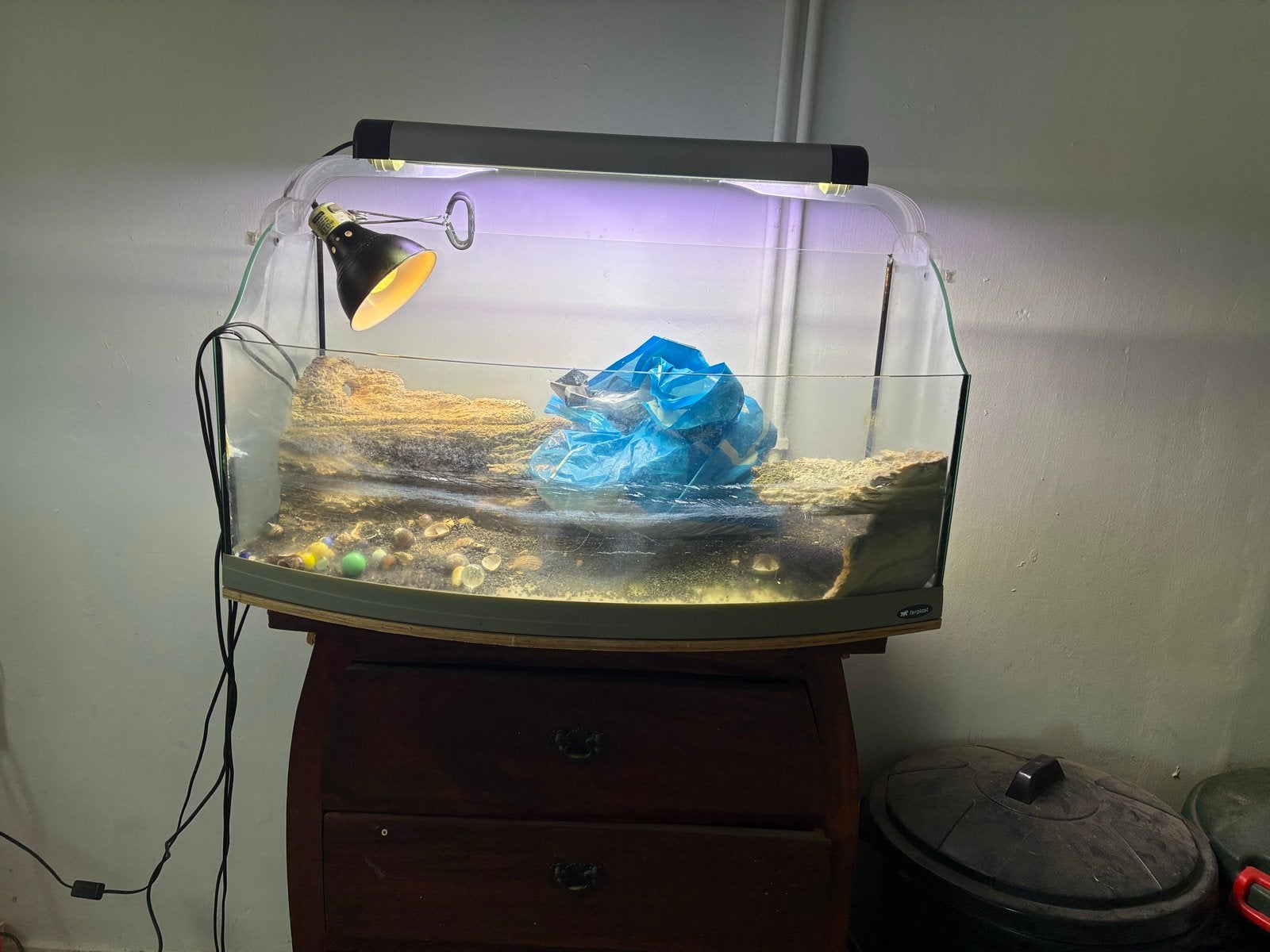 Te koop terrarium, Ophalen, Zo goed als nieuw, Terrarium of Paludarium