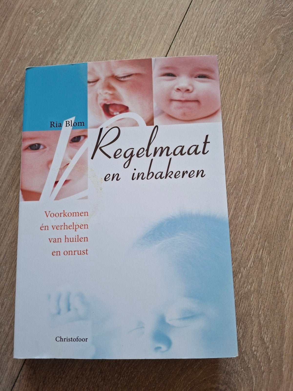 R. Blom - Regelmaat en inbakeren, Boeken, 3 tot 4 jaar, Ophalen of Verzenden, Zo goed als nieuw, R. Blom
