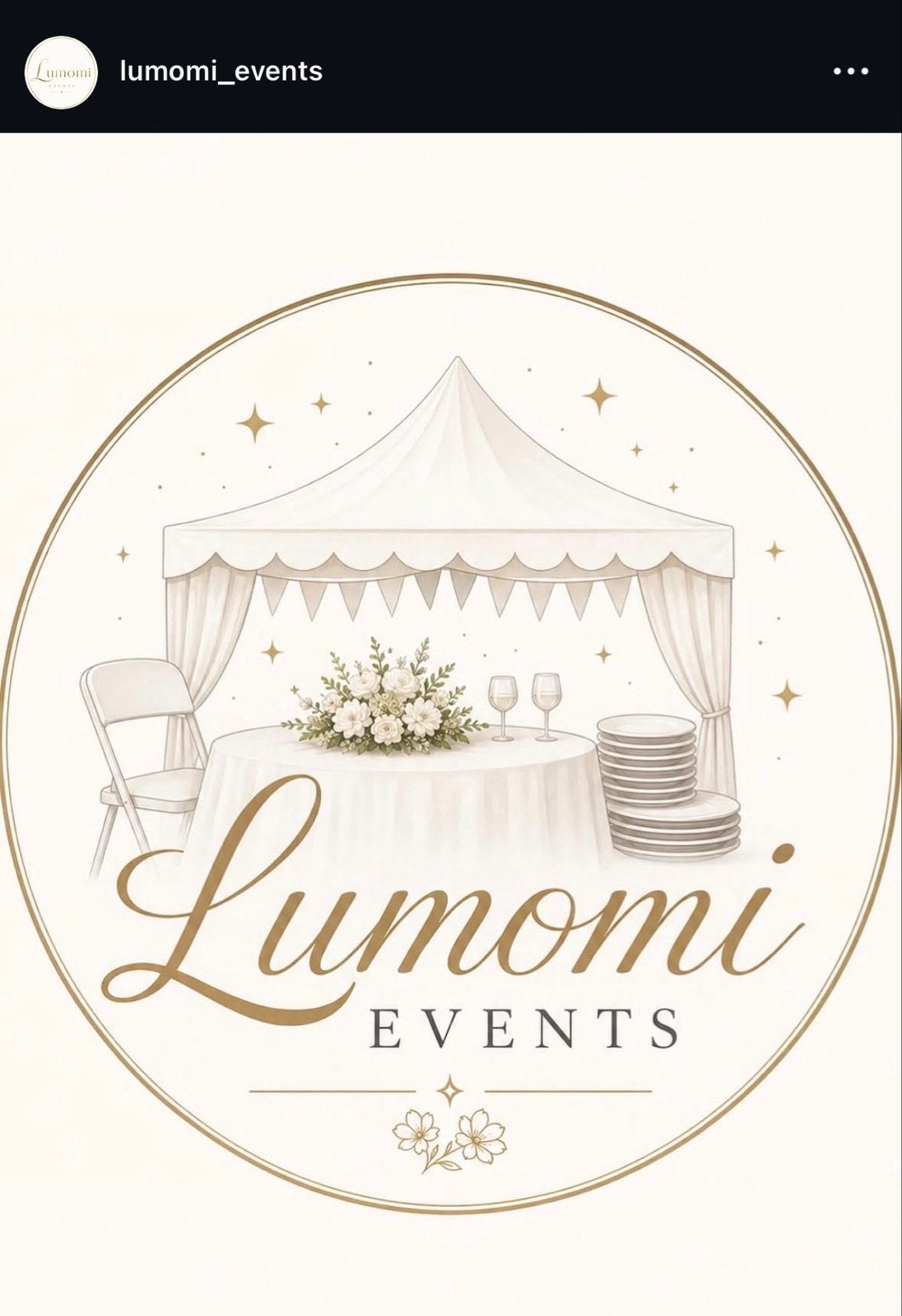 Party decoratie Verhuur voor Evenementen - Lumomi Events, Tuin en Terras, Partytenten, Partytent, Zo goed als nieuw, 4 tot 6 meter