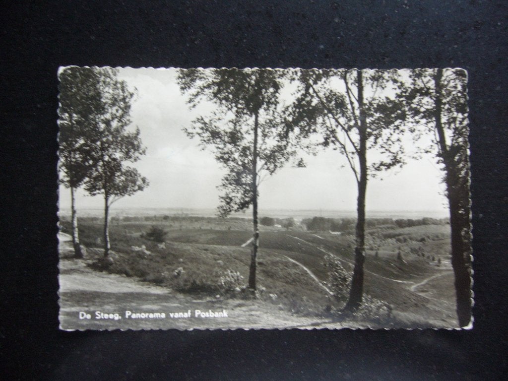 DE STEEG  =  PANORAMA VANAF POSBANK, Ophalen of Verzenden, 1940 tot 1960, Gelopen, Gelderland