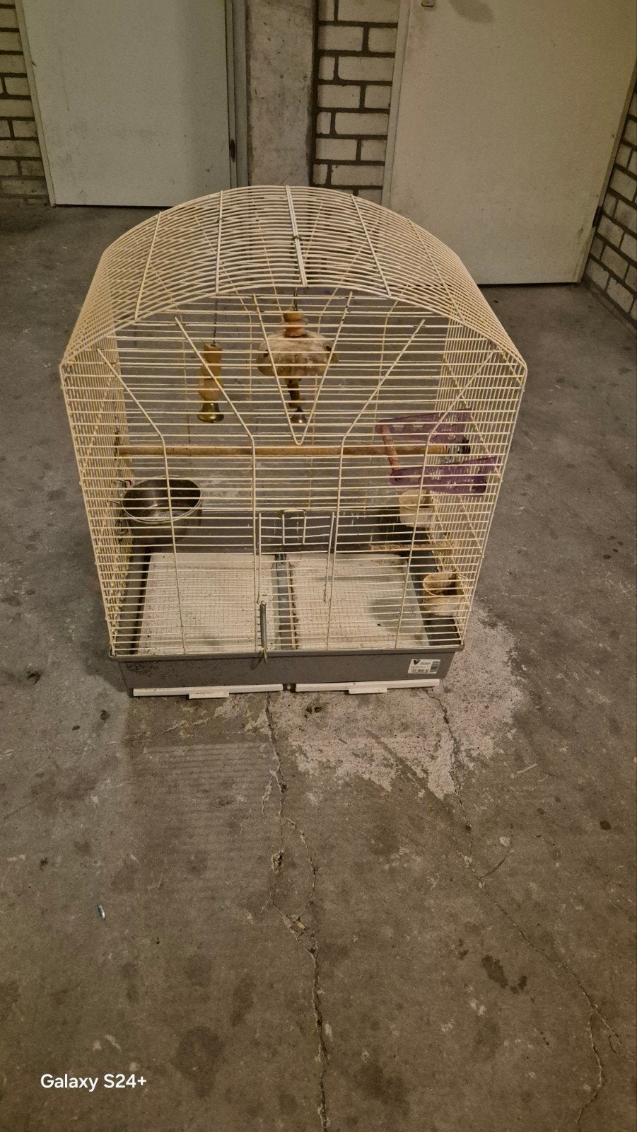 mooi groot, Ophalen of Verzenden, Zo goed als nieuw, Metaal, Vogelkooi